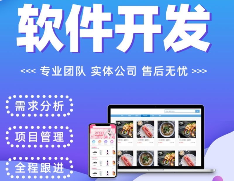广州软件定制开发